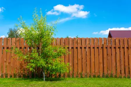 America's Backyard installs Cedar Fencing in Bolingbrook IL